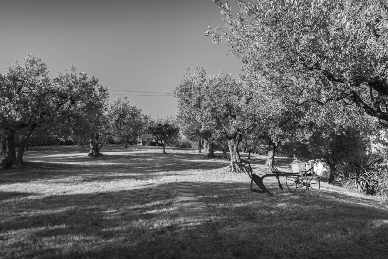 Agriturismo La Rocca Assisi Petrignano Exteriör bild