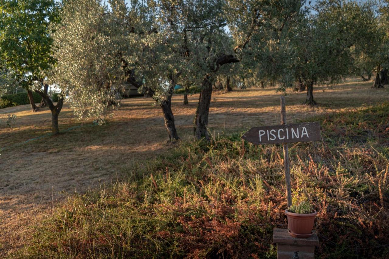 Agriturismo La Rocca Assisi Petrignano Exteriör bild